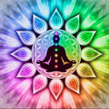 Namaste Shanti