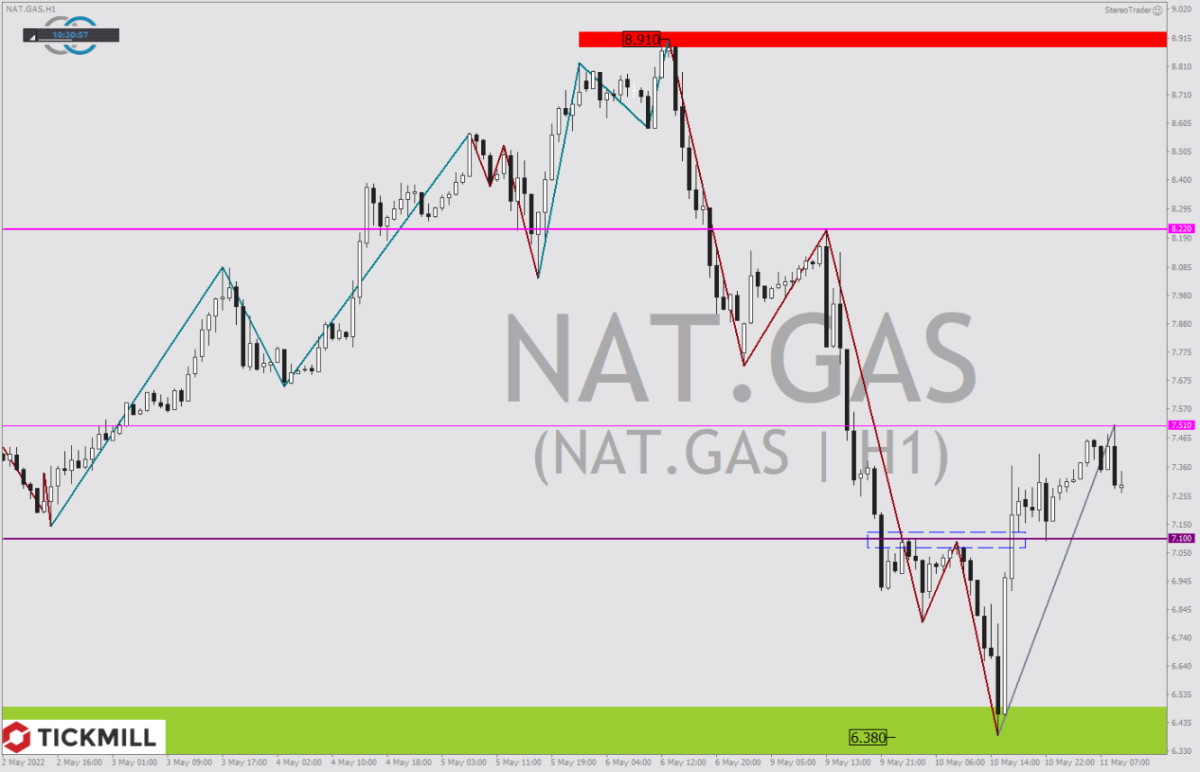 Tickmill-Analyse: Natural Gas im Stundenchart 