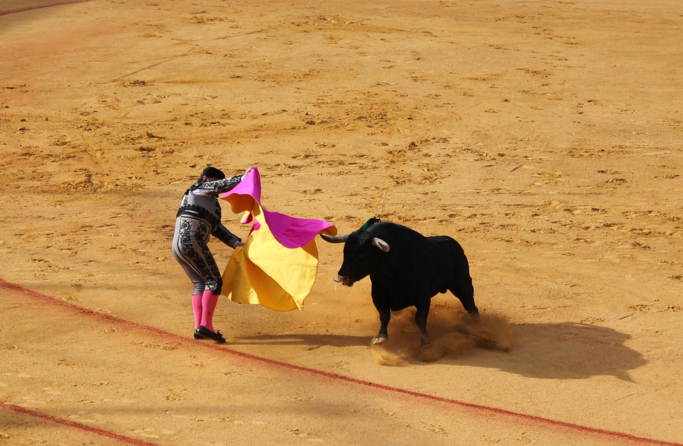 Außer in Spanien geht meist der Stier als Sieger vom Platz.