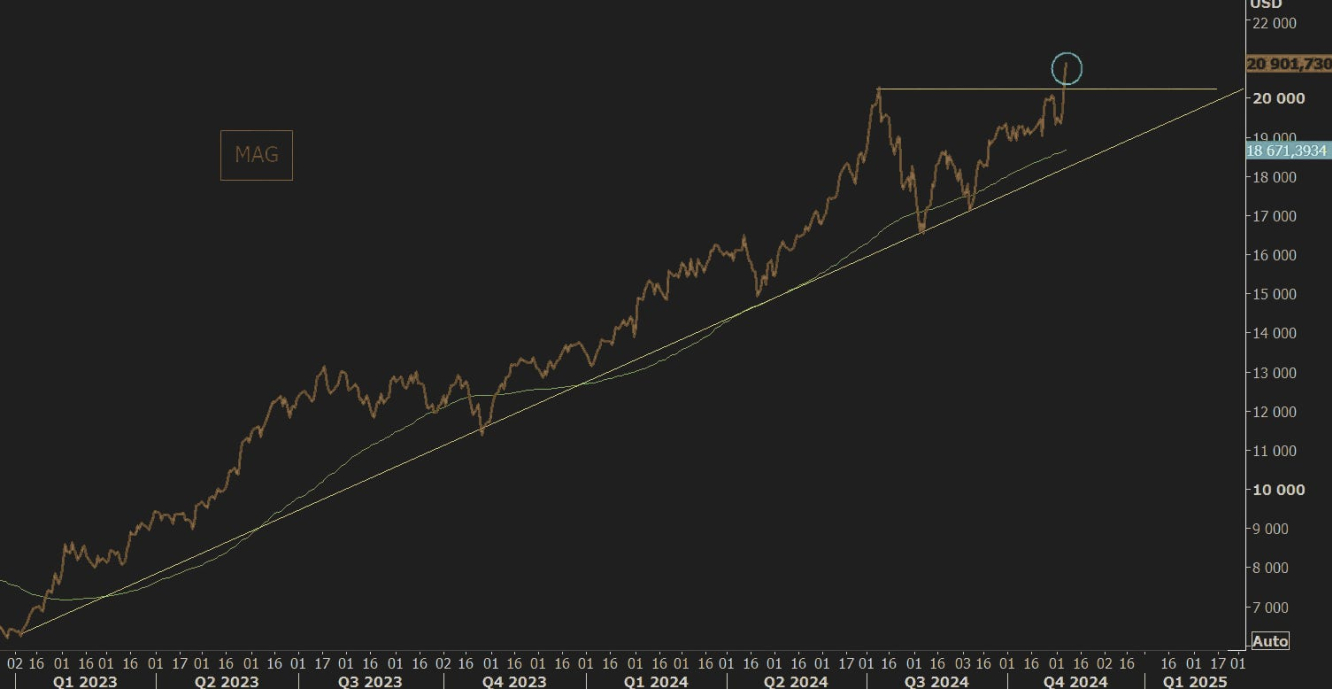 Magnificent 7-Aktien