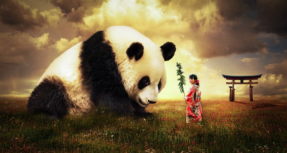 Immer mehr Unternehmen platzieren sogenannte Panda-Anleihen auf dem chinesischen Interbankenmarkt.