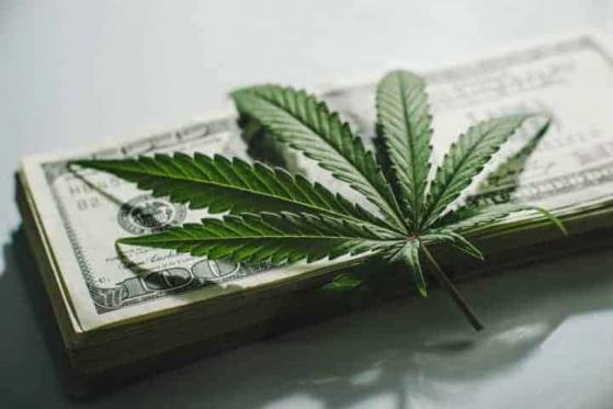 US-Legalisierung ist für die Cannabis-Branche ein Neubeginn: Auch für Innovative Industrial Properties!
