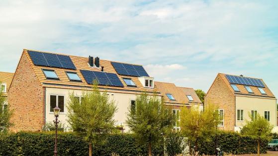 Schwimmende Solaranlagen und Müllberge: Wie die Niederlande Europas Solarstromführer wurden