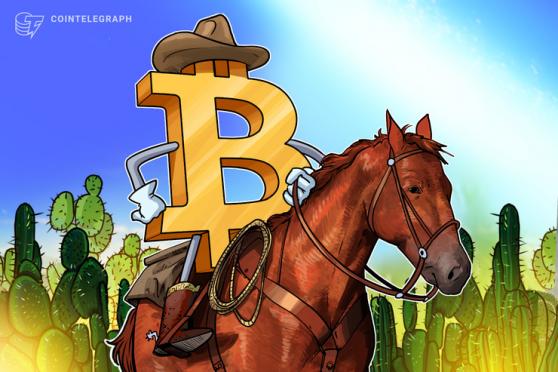 hut krypto zukunft wie kann man am besten in bitcoin investieren
