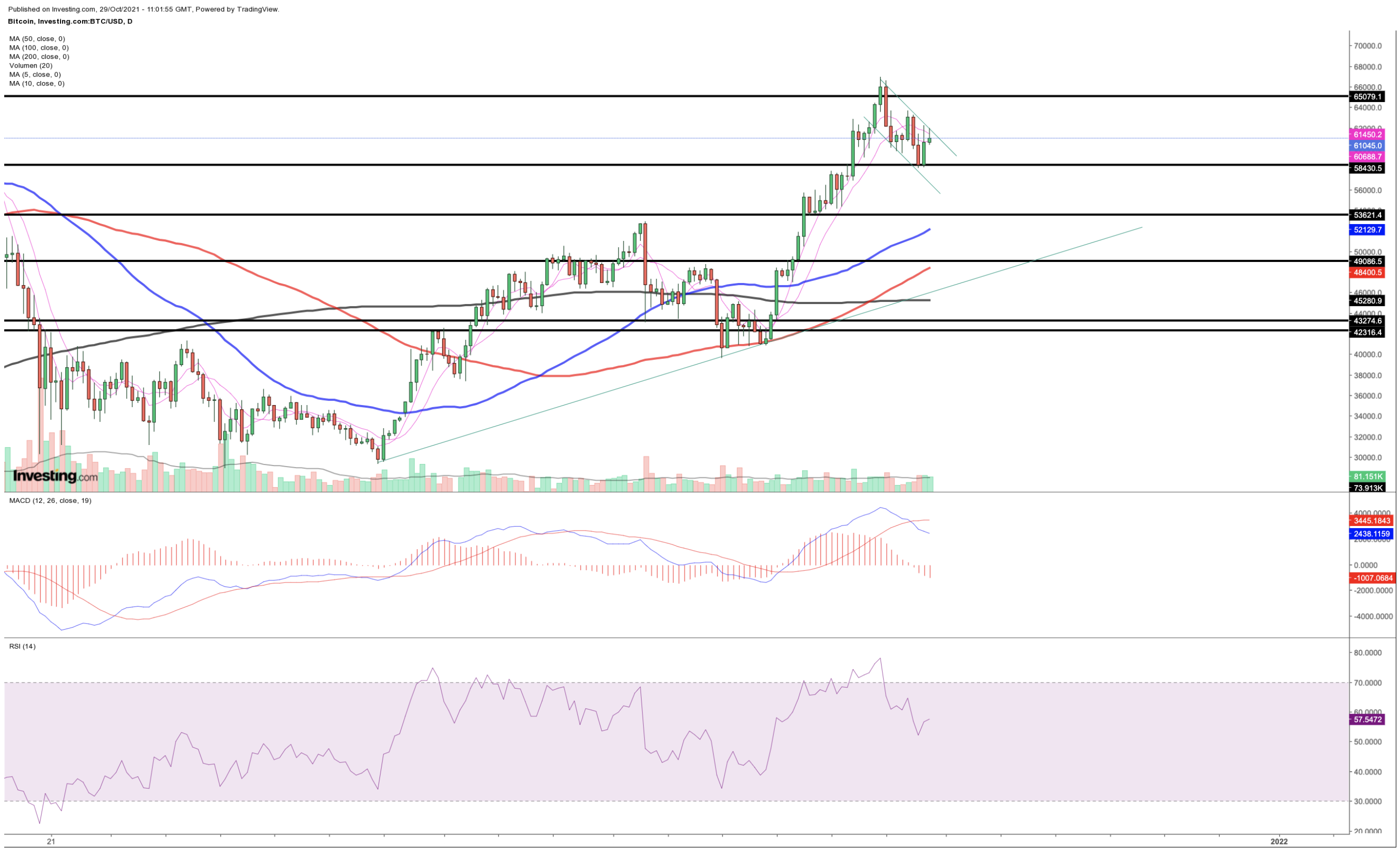 Bitcoin Chart (daily)