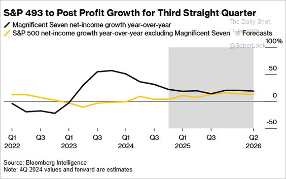 S&P 493 Earnings