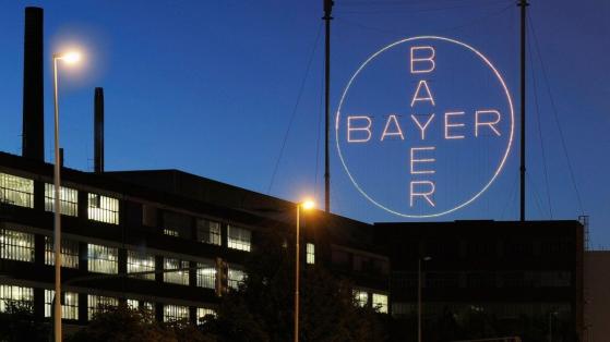 Der Wert von Bayer Leverkusen: Wird jetzt auch die Bayer-Aktie zum Champion?