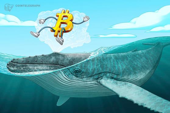 Millionär-Wale kaufen in den letzten 25 Tagen 90.000 Bitcoin auf