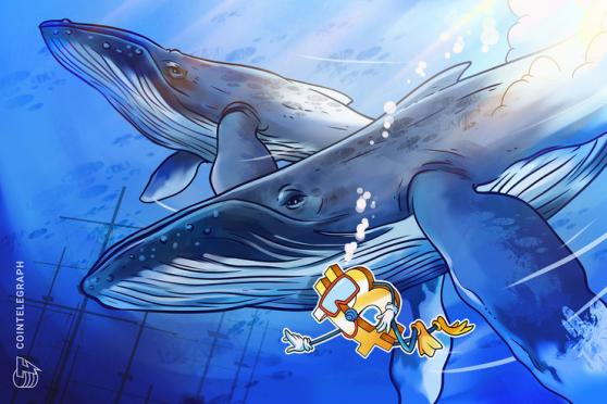 Bitcoin (BTC) zurück auf 21.000 US-Dollar, Wale bleiben im „Winterschlaf“